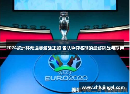 2024欧洲杯预选赛激战正酣 各队争夺名额的最终挑战与期待